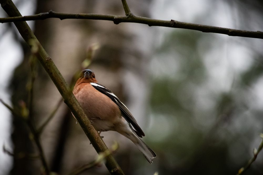 Photograph by Maksim Zhdanovich