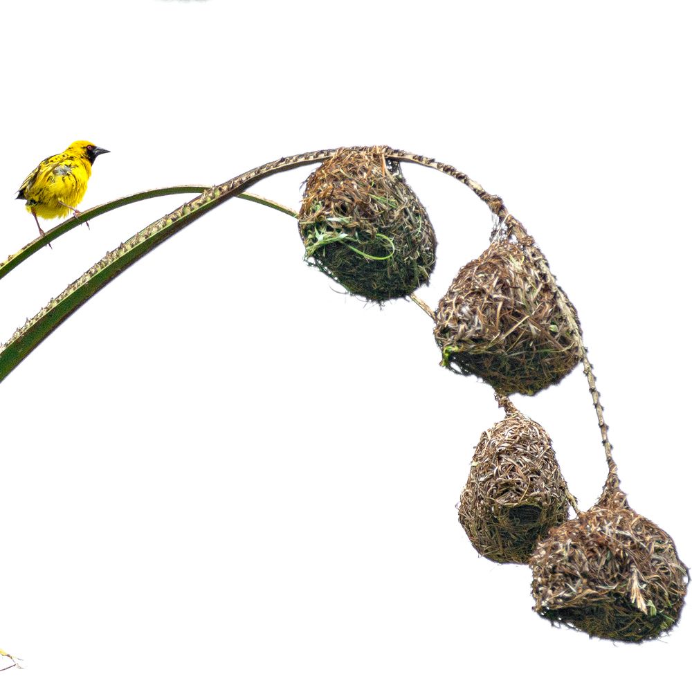 Photograph by Наталья Кокорина