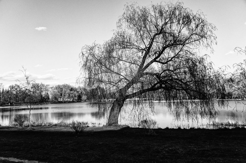 Photograph by Pavel Morozov