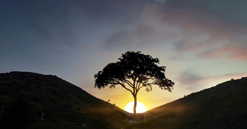 Фотография автора reyhane  khavaninzadeh