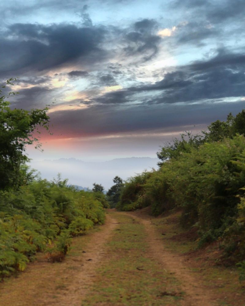 Фотография автора reyhane  khavaninzadeh