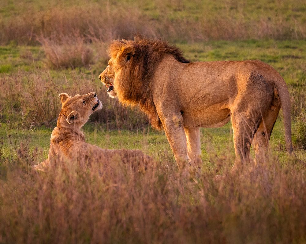 Photograph by hemedi rasuli