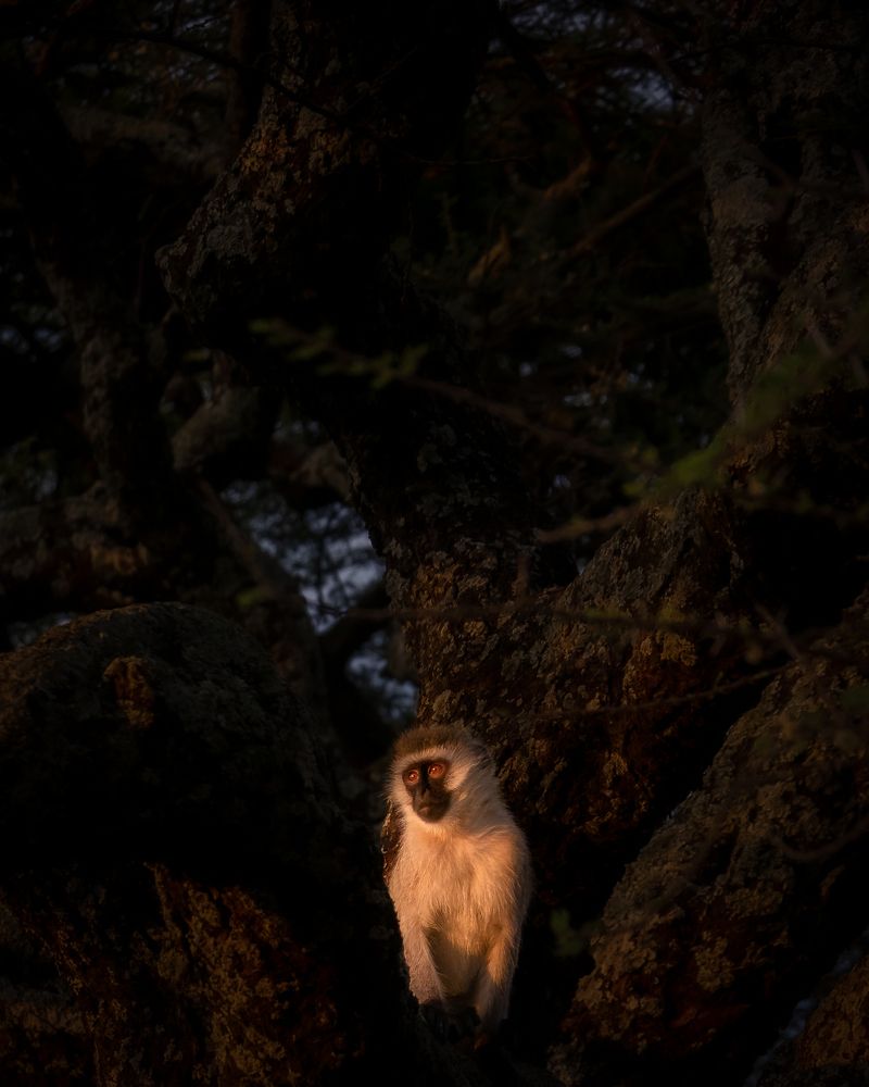 Photograph by hemedi rasuli