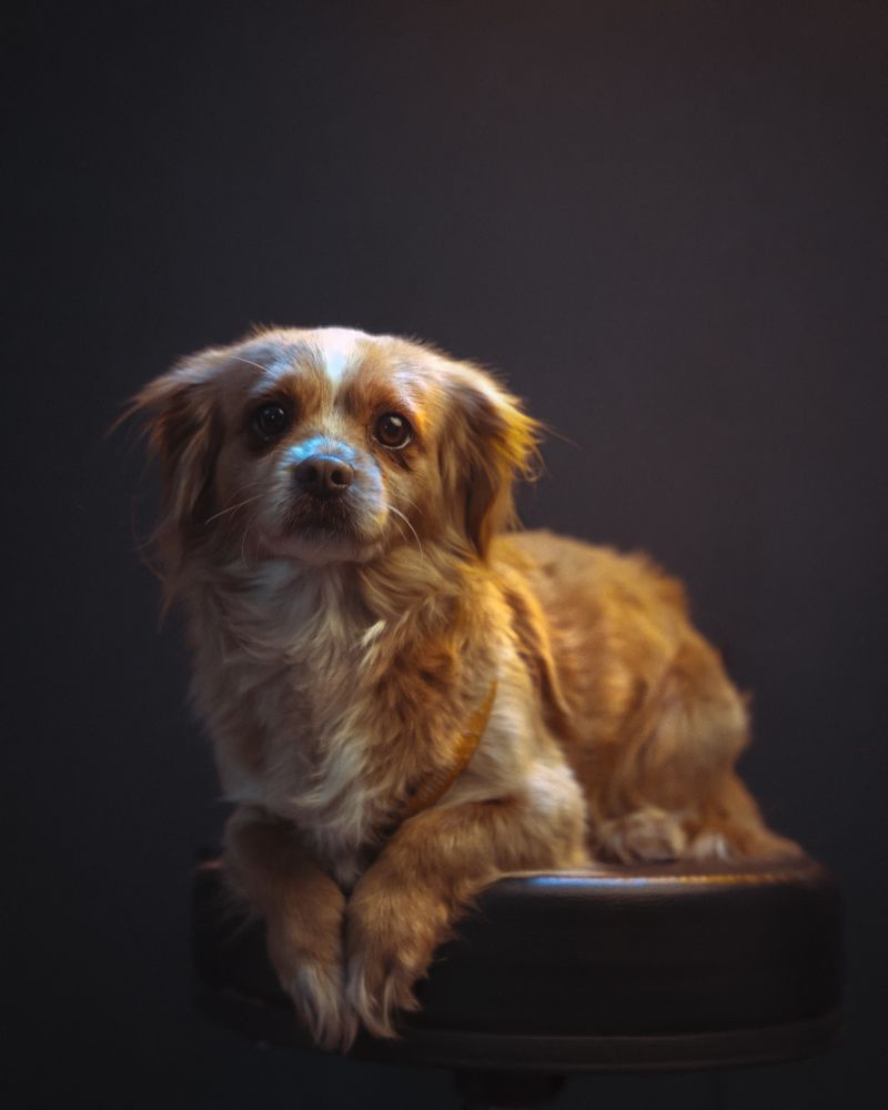 Photograph by Farhood Amni