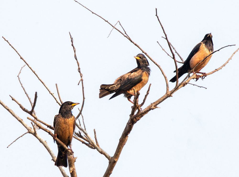 Фотография автора Людмила Прокофьева