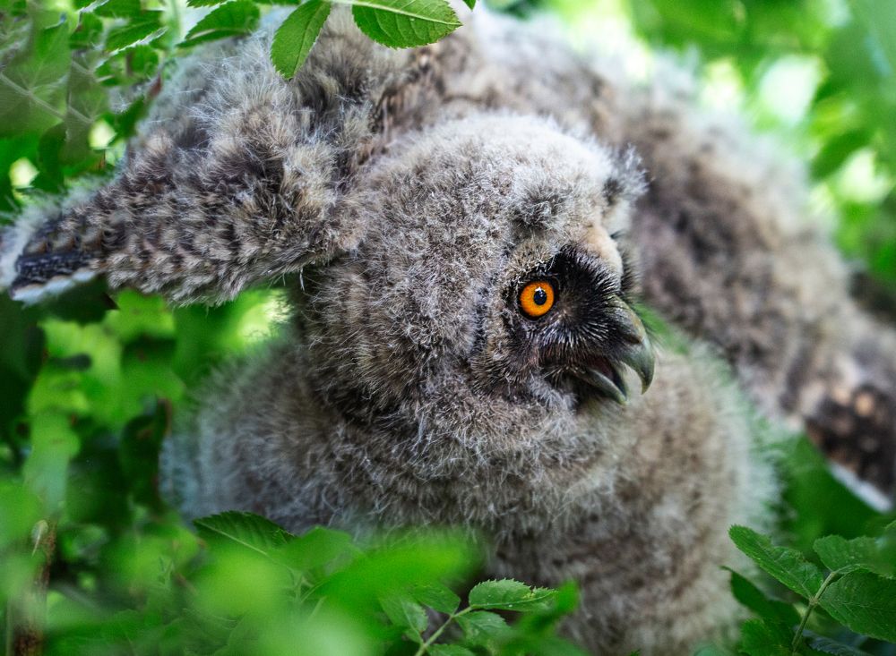 Фотография автора Людмила Прокофьева