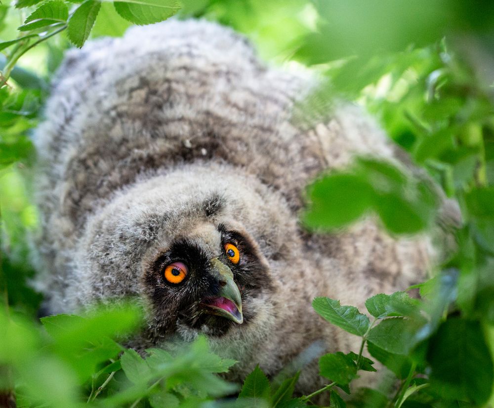 Фотография автора Людмила Прокофьева