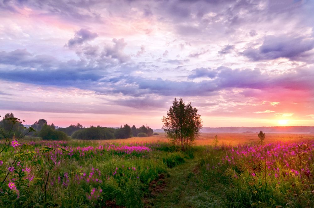 Фотография автора Людмила Прокофьева