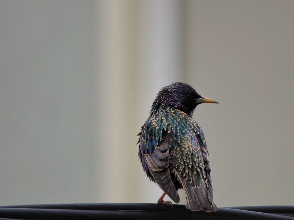 Photograph by Светлана Смирнова