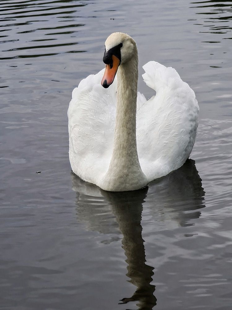 Photograph by Светлана Смирнова