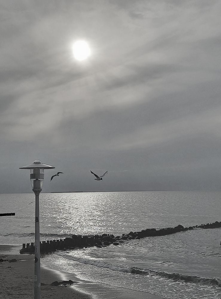 Photograph by Viktoria Vavilkina