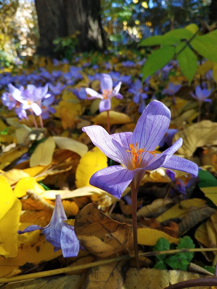 Фотография автора Александр Довганюк