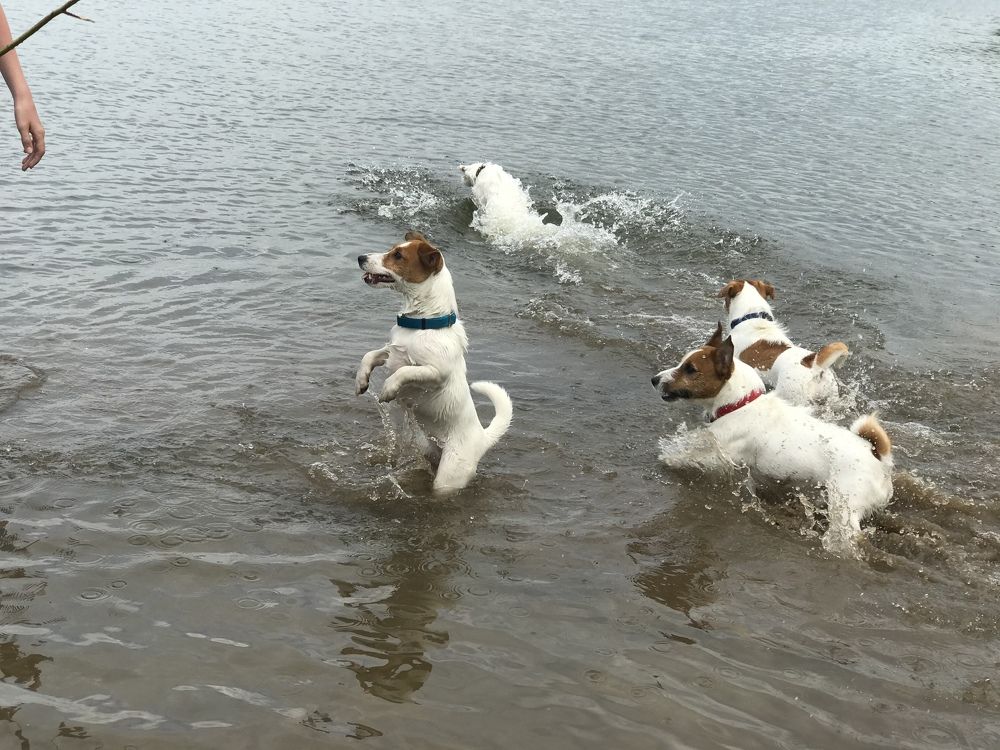 Photograph by Renata Frolkina