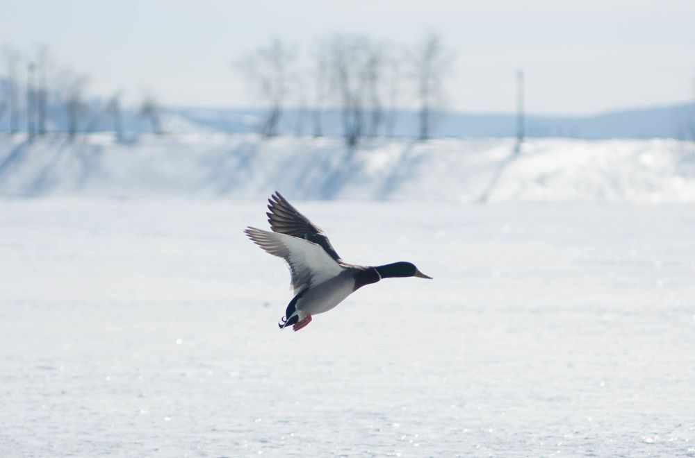 Photograph by Климова Анна