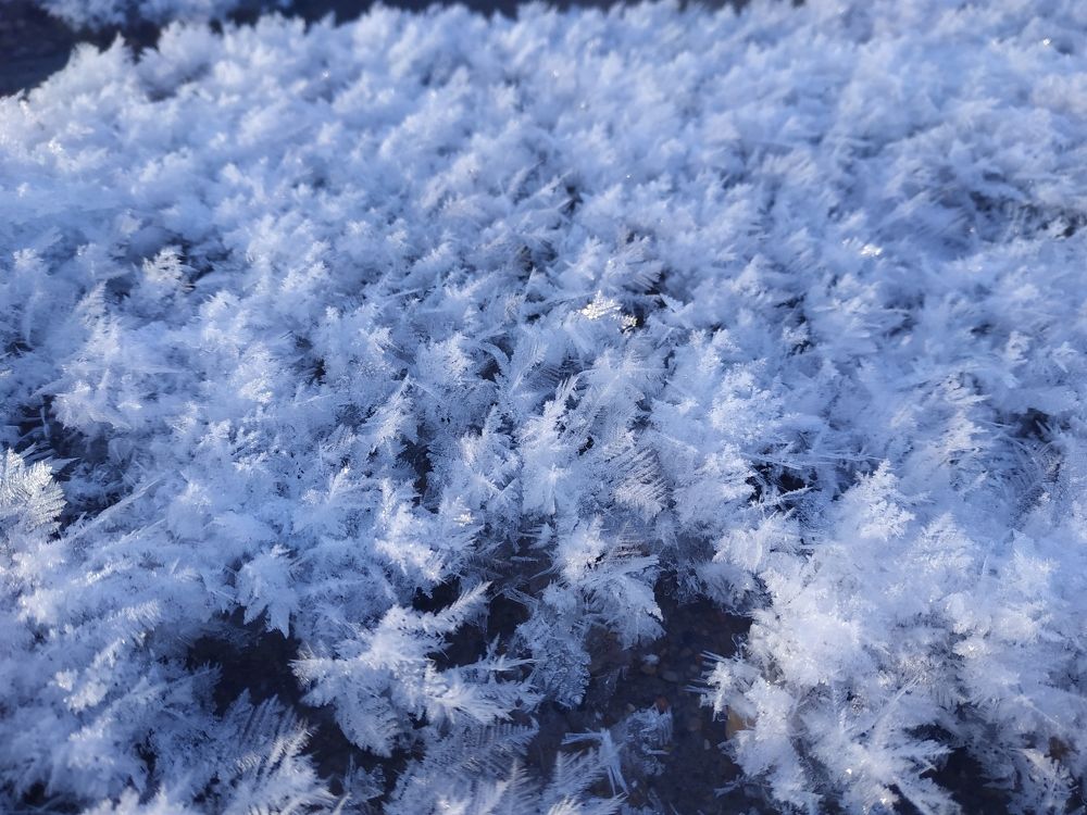 Морозные перышки