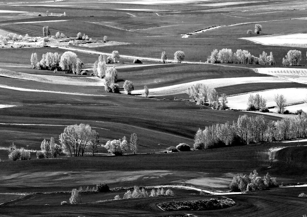 Photograph by Людмила Прокофьева