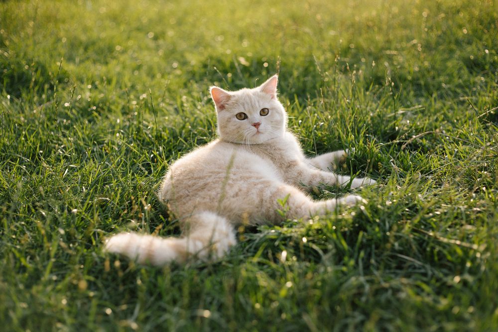 Фотография автора Владислав Марухин