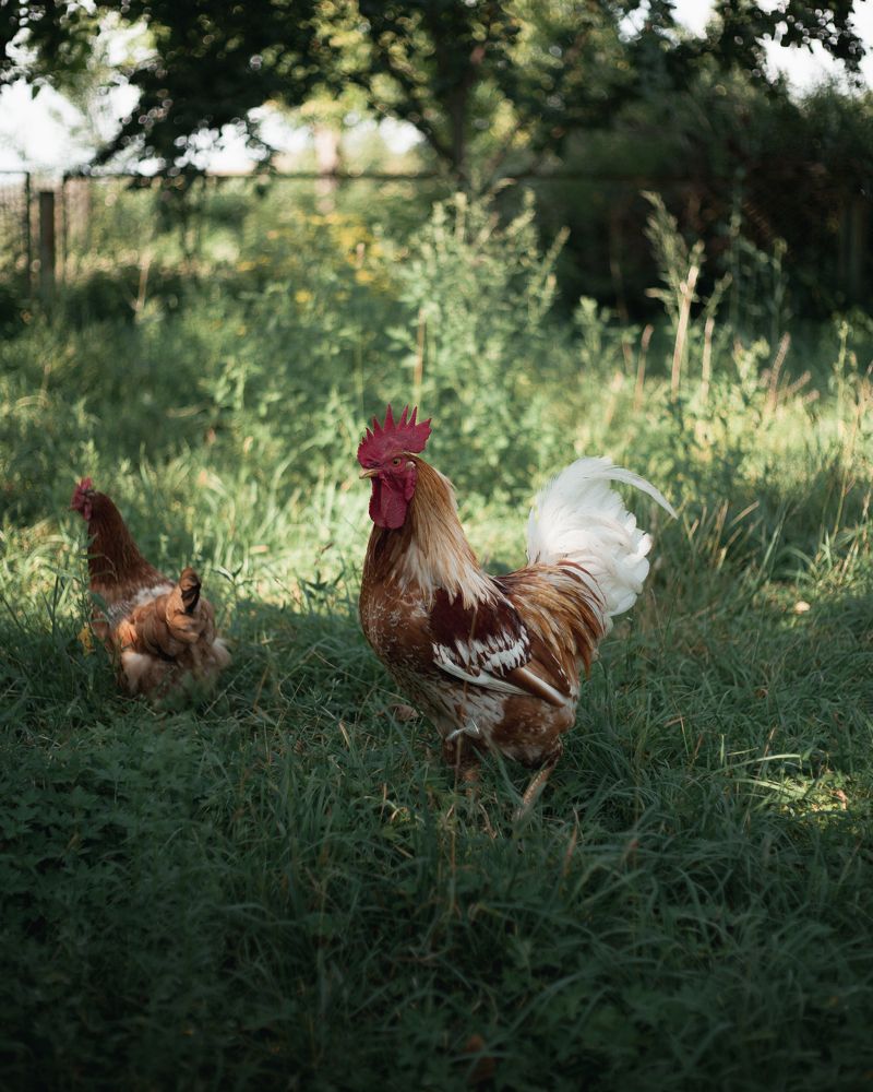Фотография автора Владислав Марухин