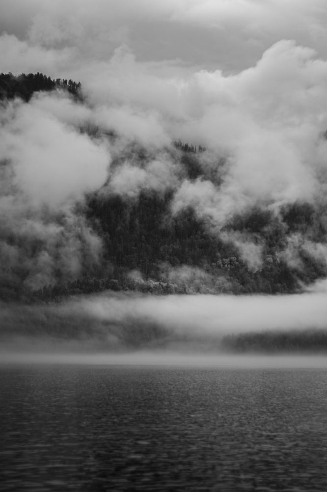 Photograph by Сергей Витвицкий