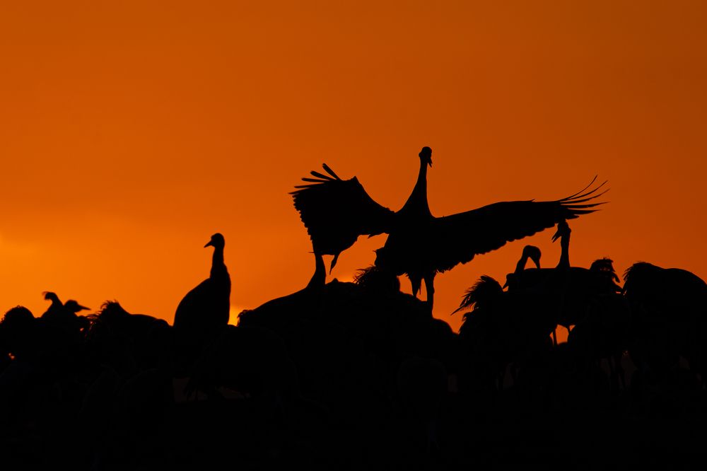 Фотография автора Julia A Caesar