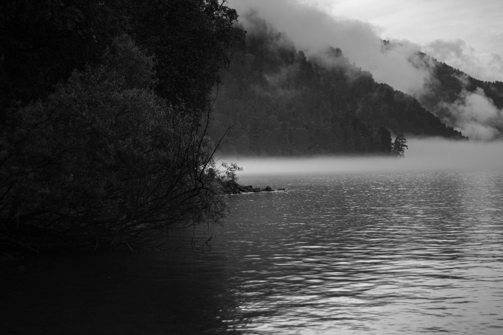 Photograph by Сергей Витвицкий