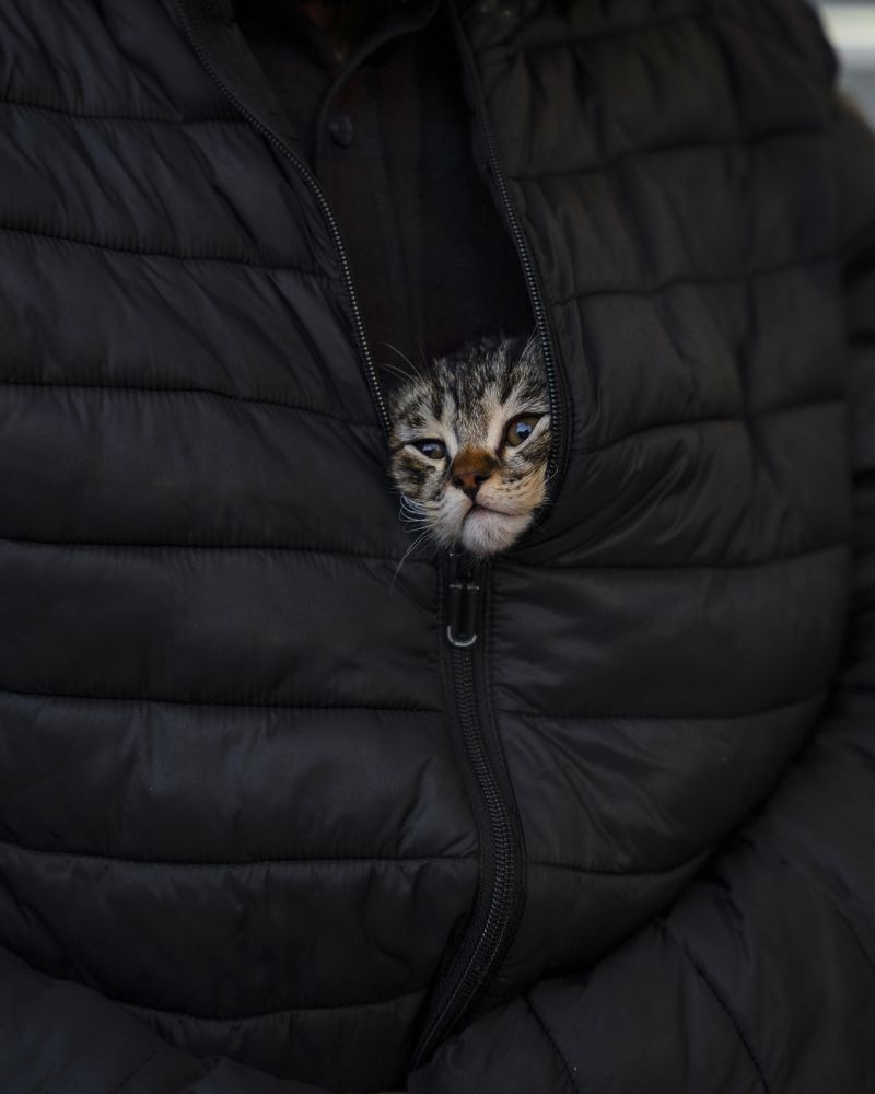 Photograph by Farhood Amni