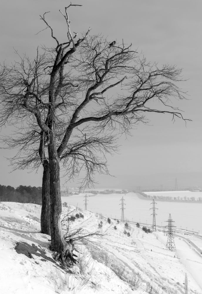 Фотография автора Мигунов Даниил