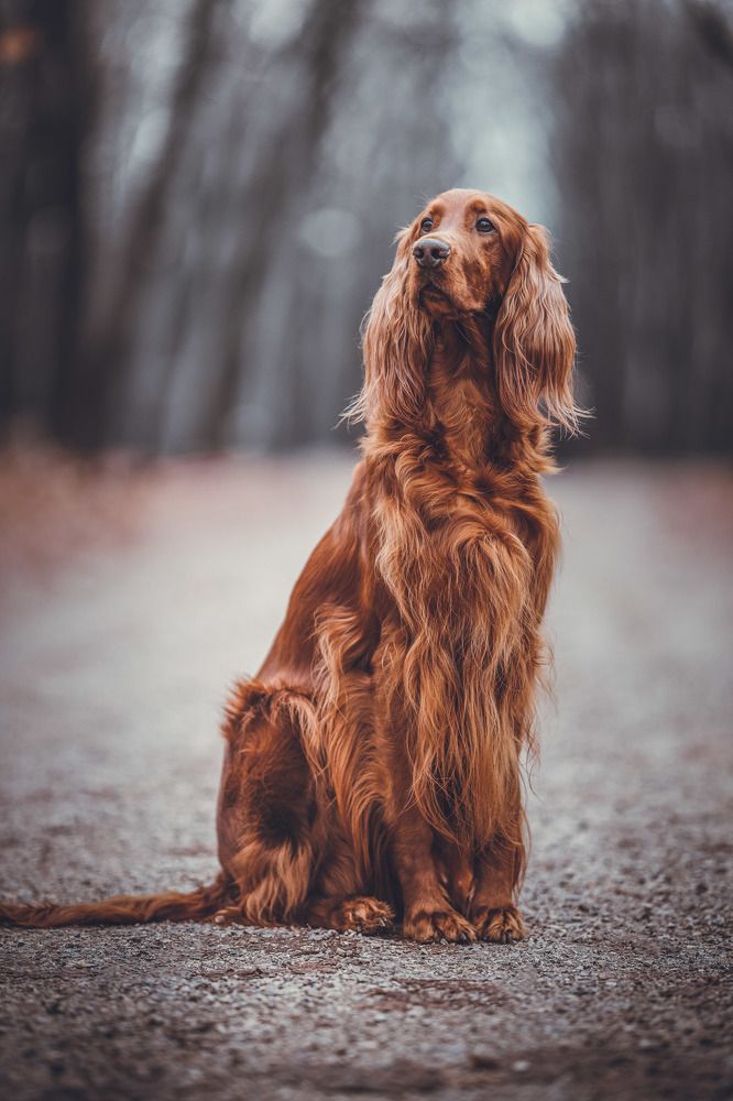 Photograph by Alexander Stoyanov