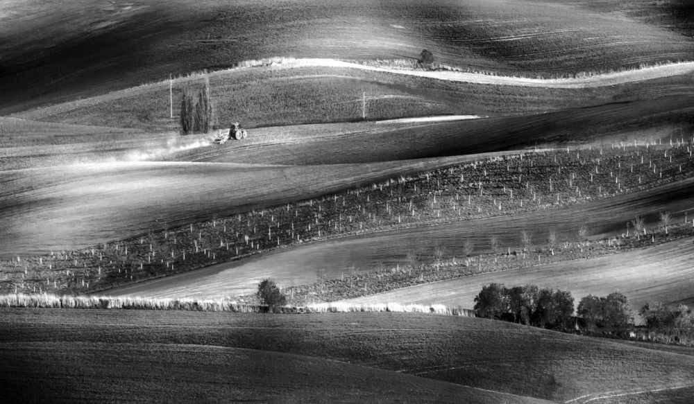 Фотография автора Людмила Прокофьева