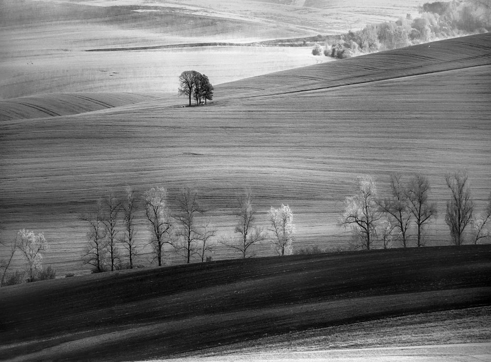 Photograph by Людмила Прокофьева