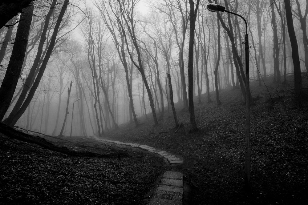 Photograph by Рымаров Александр