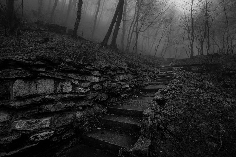 Photograph by Рымаров Александр