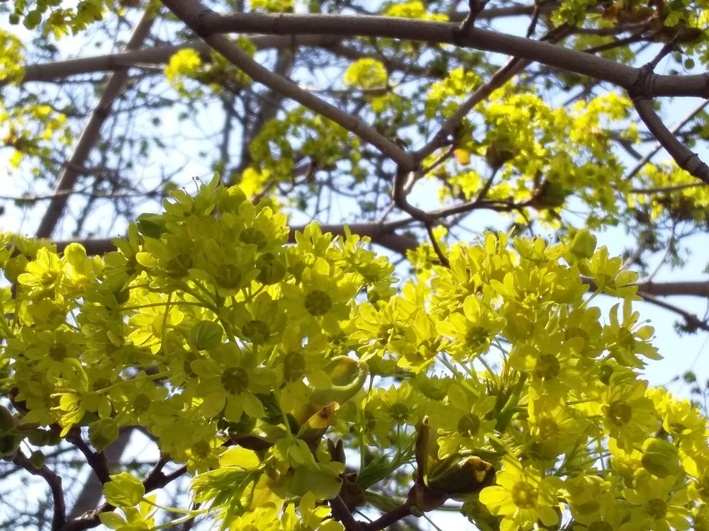 Photograph by Анастасия Кичигина