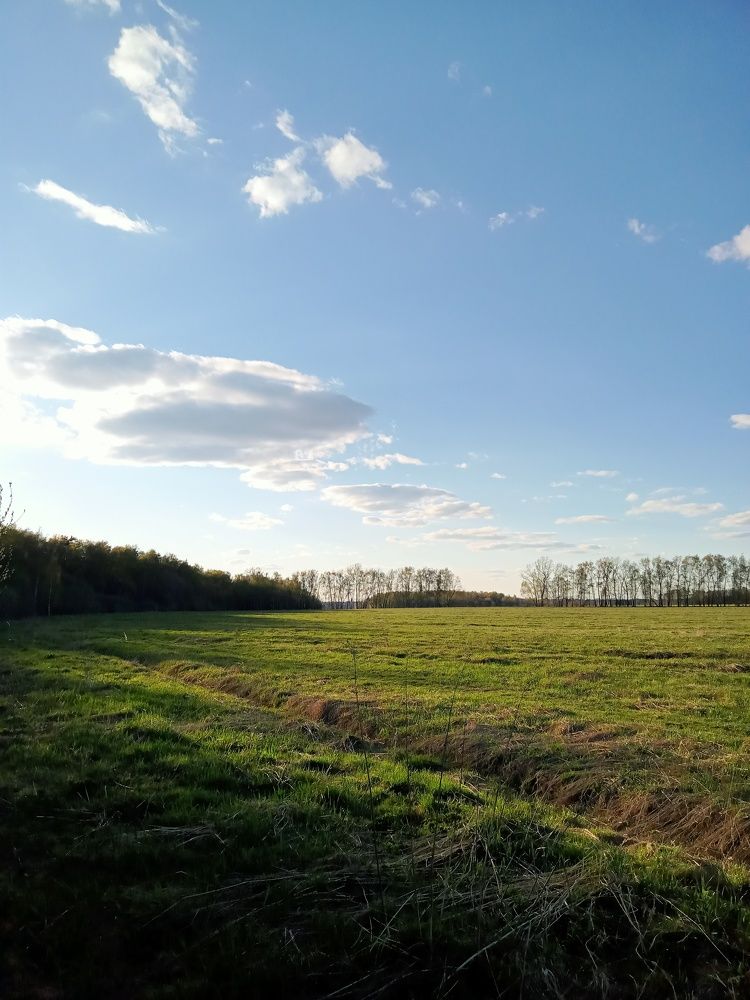 Photograph by Александр Alexander Zheleztsov