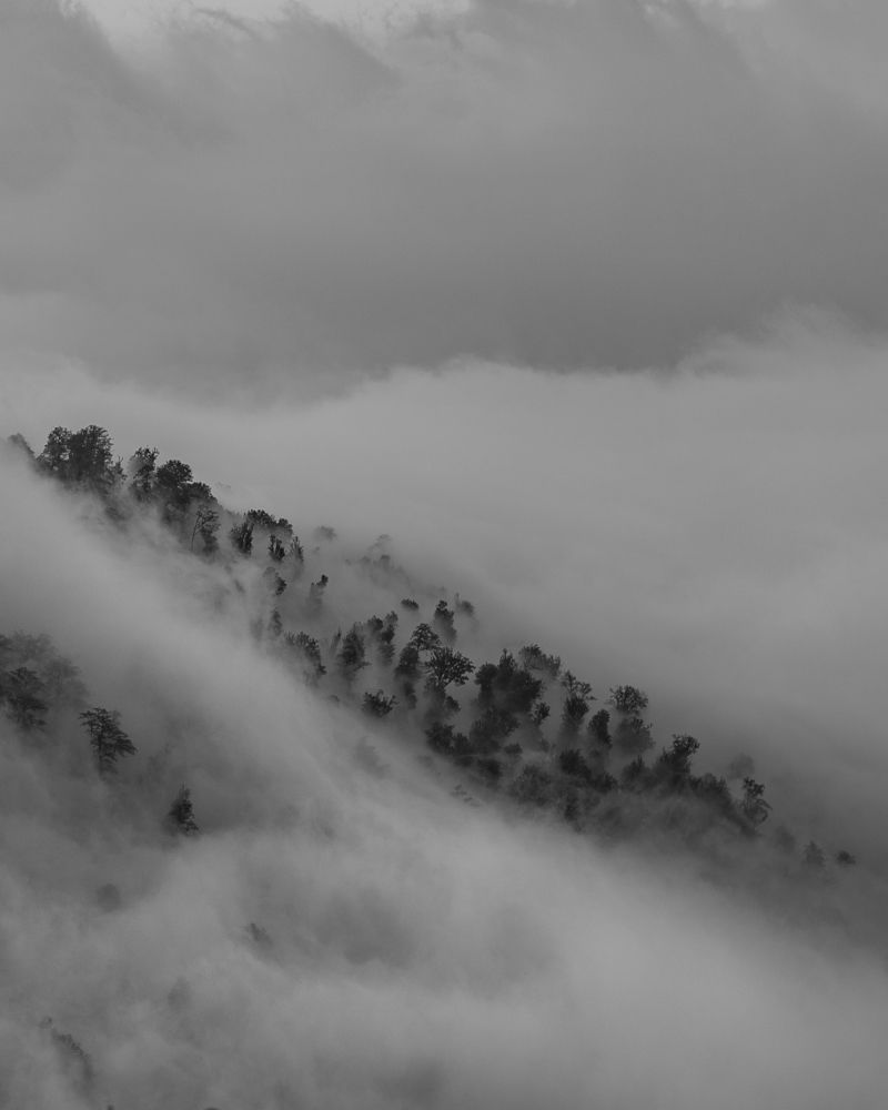 Photograph by Farhood Amni