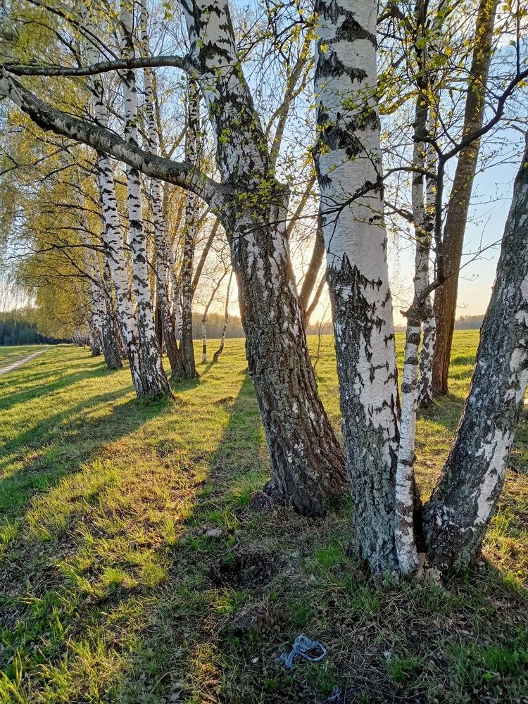 Photograph by Александр Alexander Zheleztsov