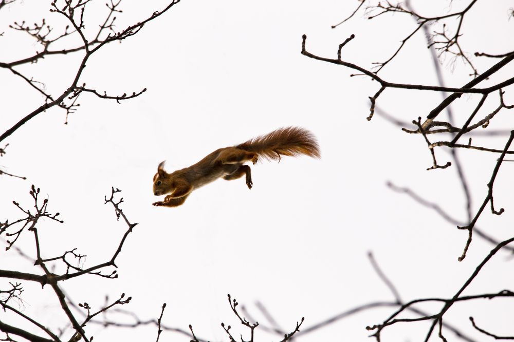 Фотография автора Andrej Levius