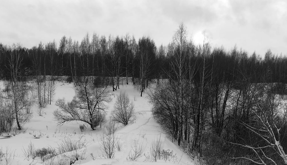 Photograph by Евгений Беленков