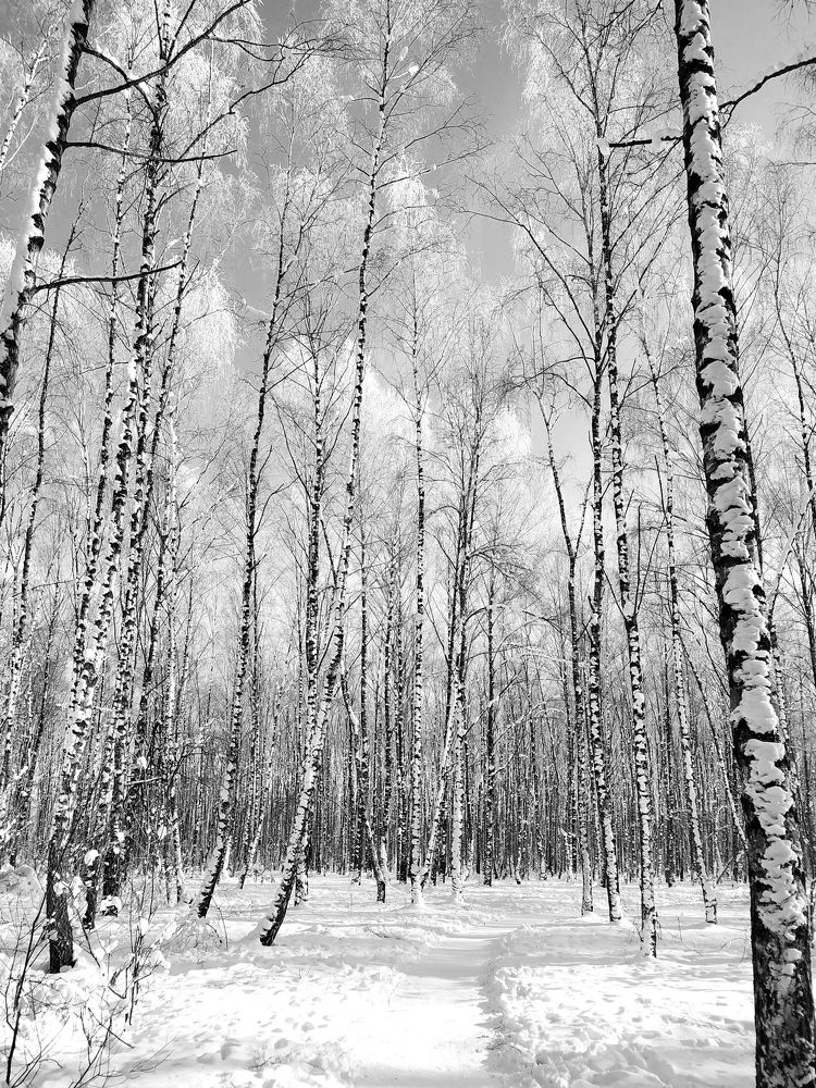 Photograph by Ирина Половцева