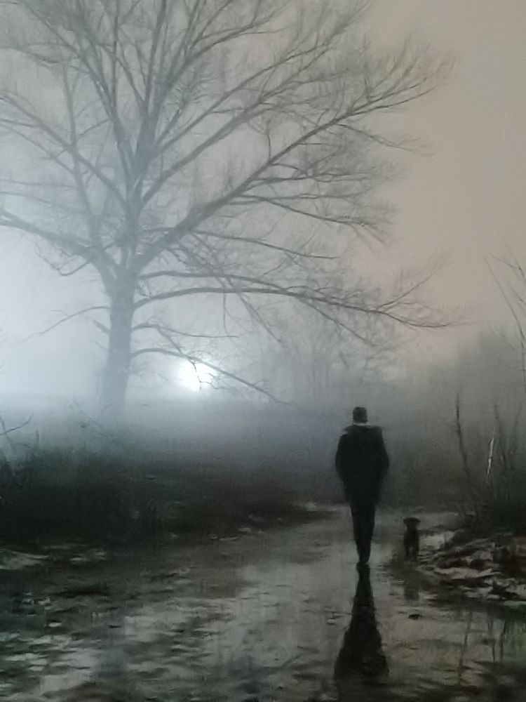 Собака в тумане