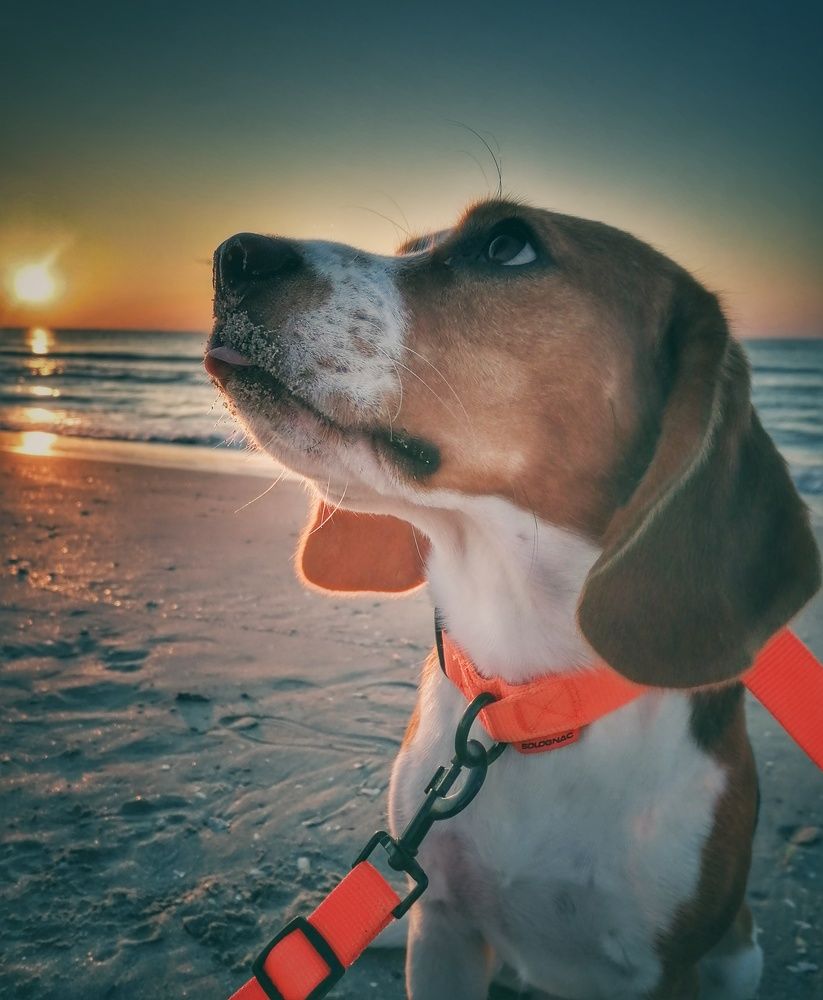 Photograph by Mariana Ștefania Odințoi