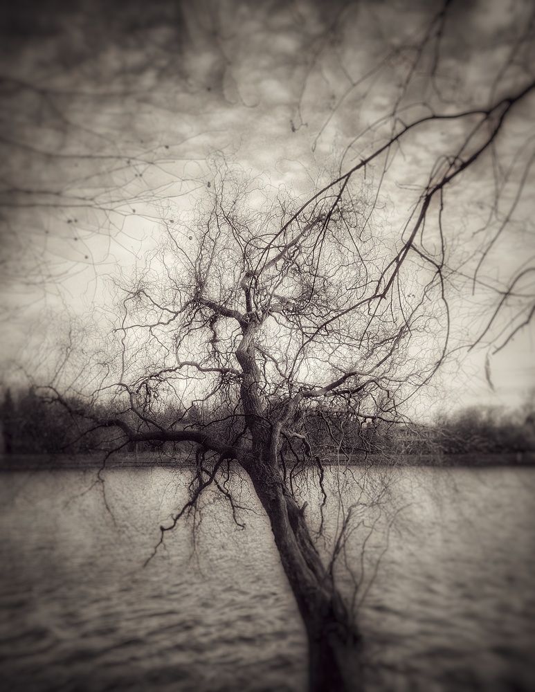 Photograph by Mariana Ștefania Odințoi