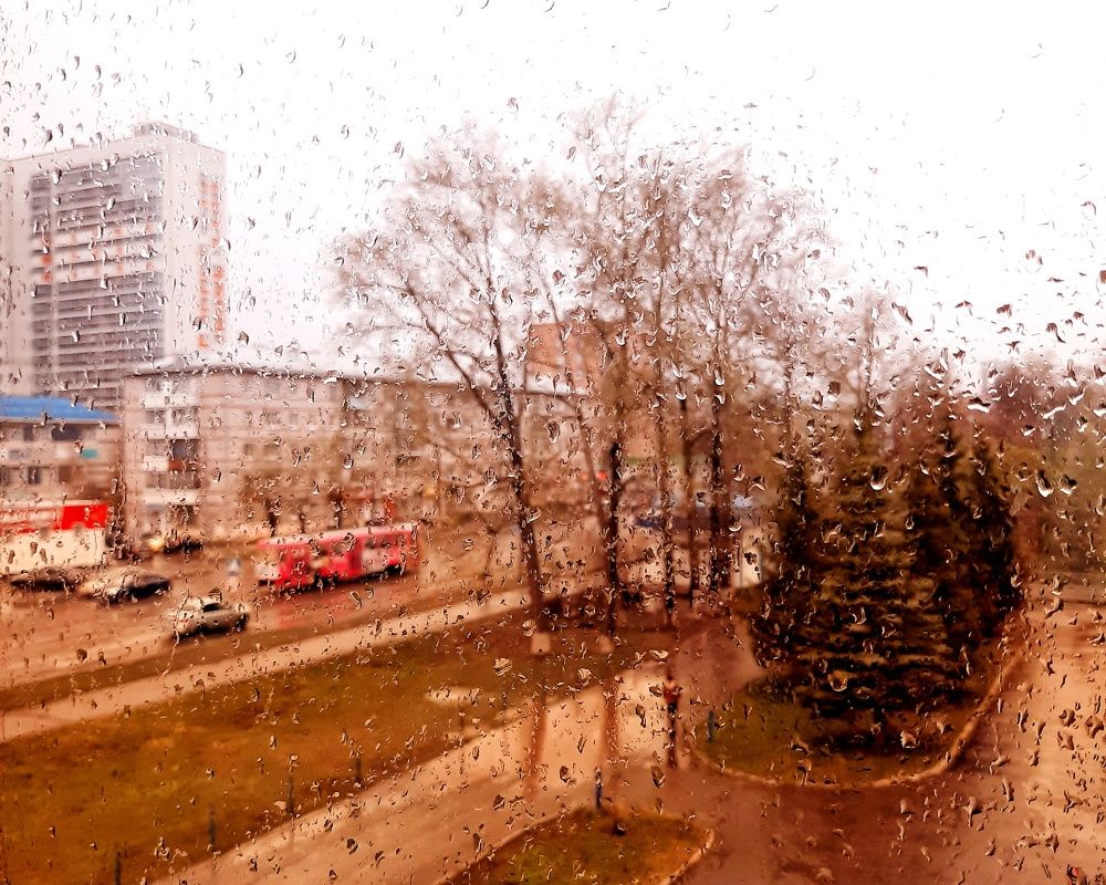 Фотография автора Olga Kunakova