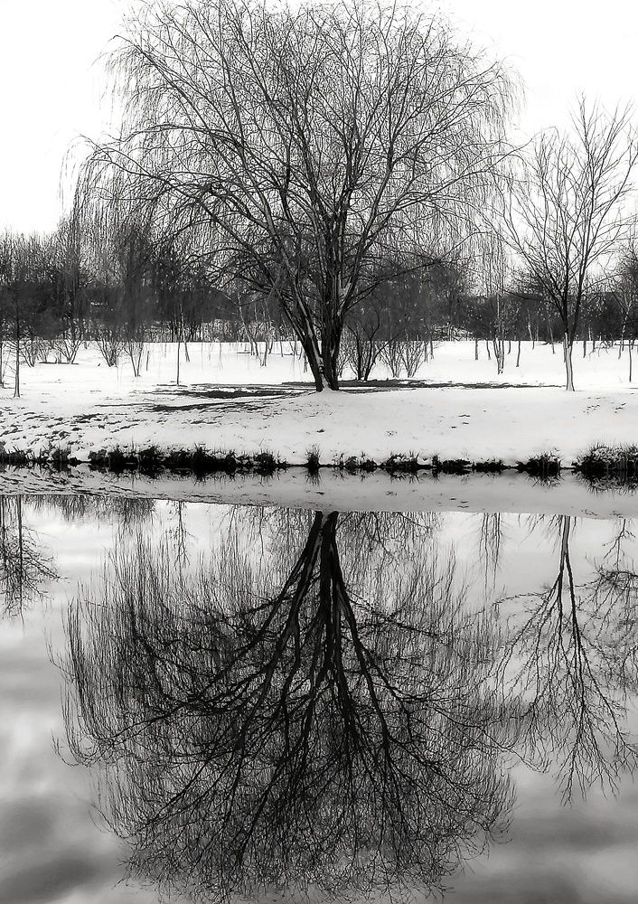 Photograph by Mariana Ștefania Odințoi