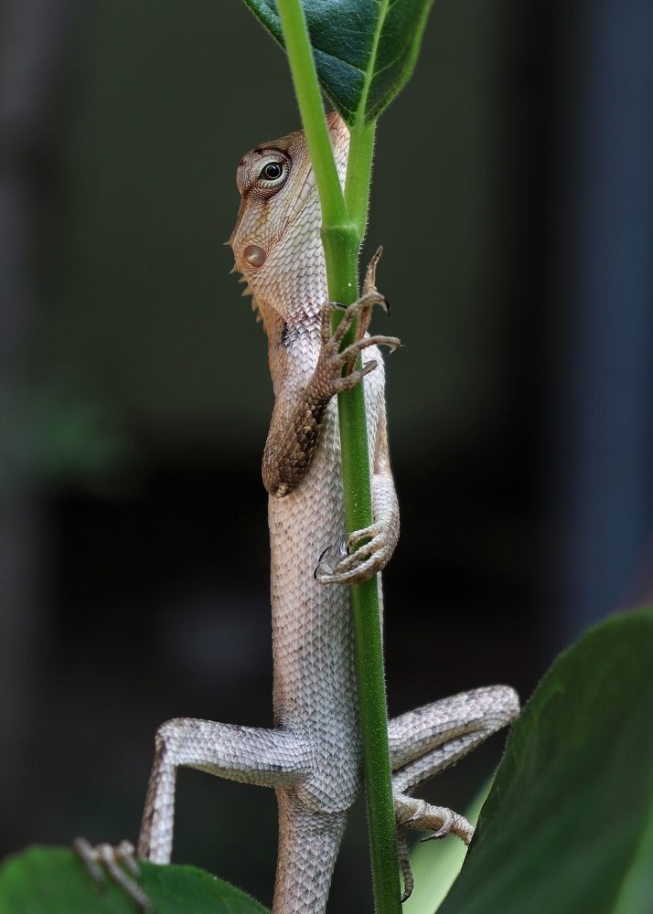 Photograph by Sahil Sanavulla