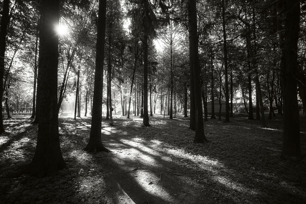 Photograph by Алексей Трифонов