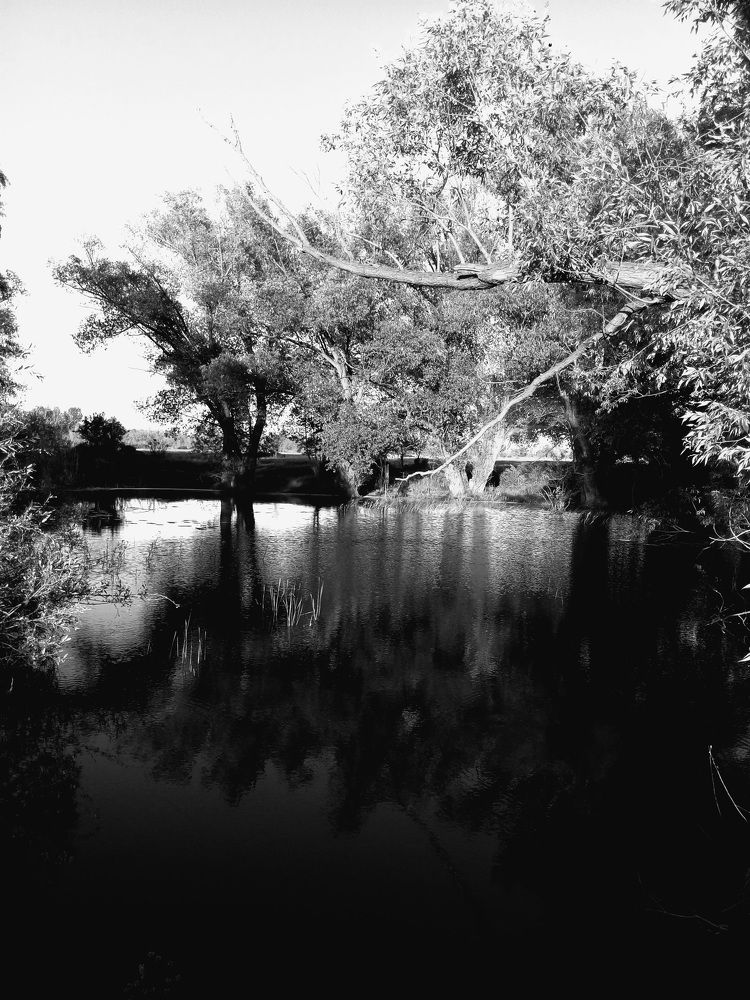 Photograph by Евгения Хоменко