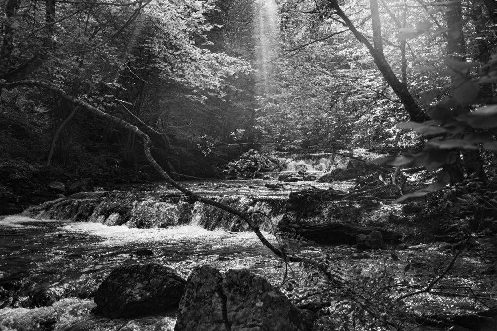 Photograph by Алексей Марченков