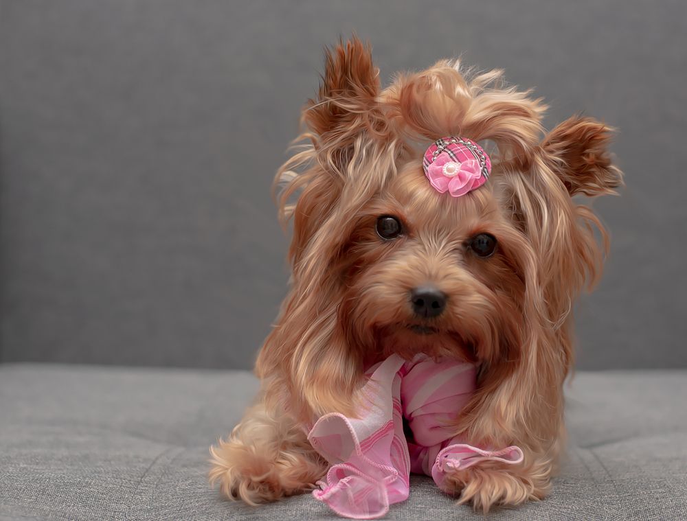 Photograph by Лариса Нечитайло