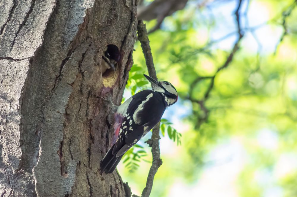 Photograph by Евгений Кузьмин